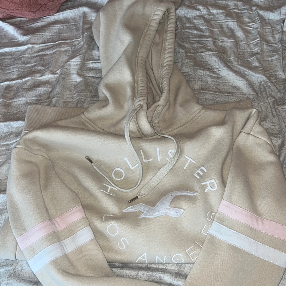 Hollister sweatshirt